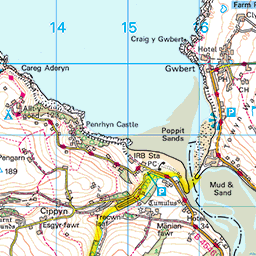 St. Dogmaels (Pembrokeshire) parish map - SWC