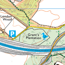 Beacon Hill Online - Map of Beacon Hill